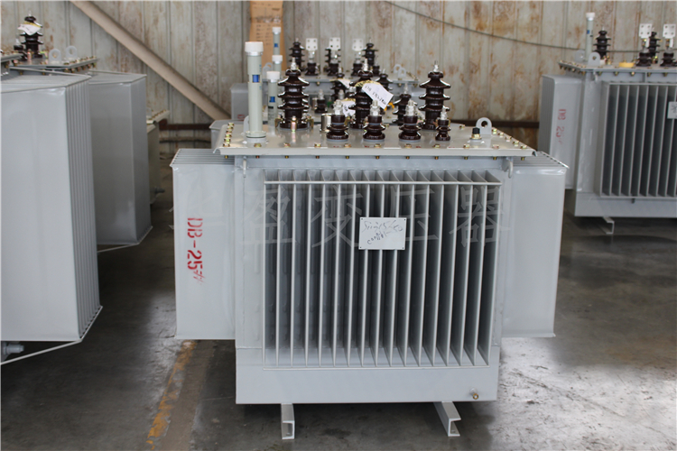 巴彦淖尔S20-800kVA/10kV/0.4kV变压器